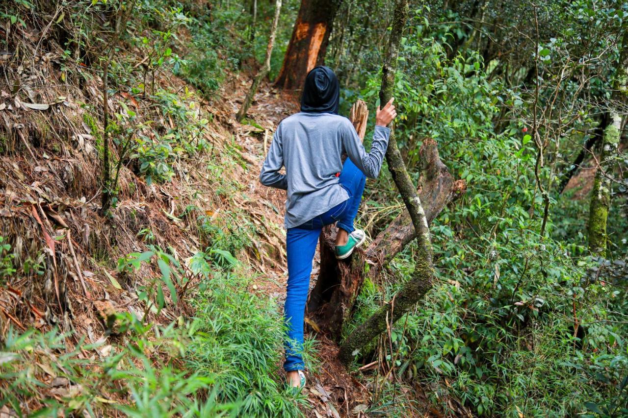 Notre Dame D'Arcadia Otel Nuwara Eliya Dış mekan fotoğraf