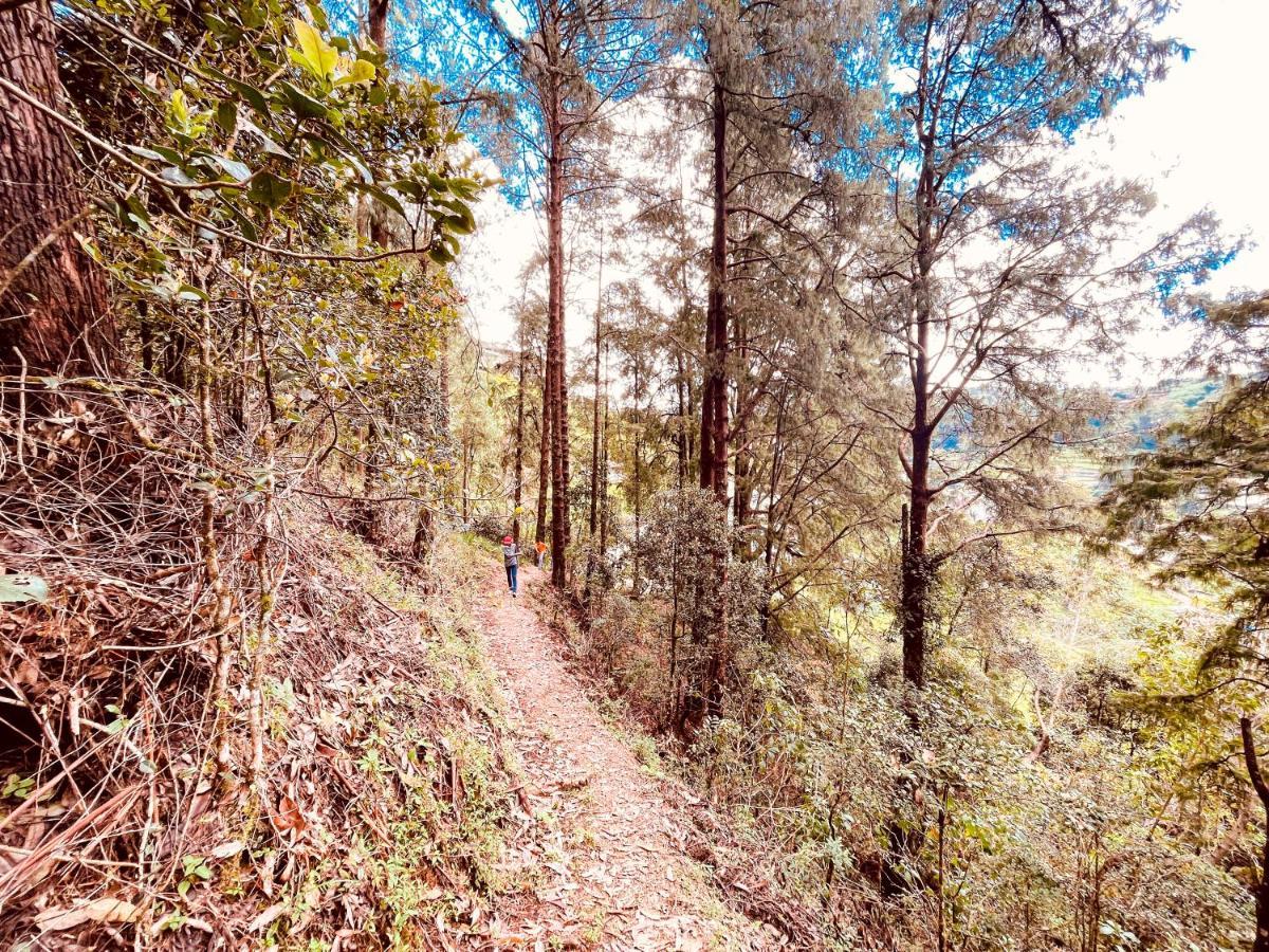 Notre Dame D'Arcadia Otel Nuwara Eliya Dış mekan fotoğraf