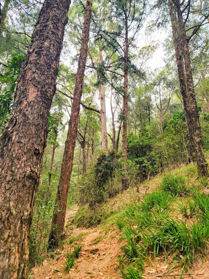 Notre Dame D'Arcadia Otel Nuwara Eliya Dış mekan fotoğraf