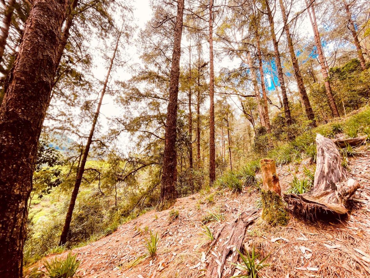 Notre Dame D'Arcadia Otel Nuwara Eliya Dış mekan fotoğraf